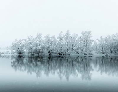 МАСЛИҲАТИ МУТАХАССИС. Истеъмоли қулфинай фаромӯшхотириро кам мекунад