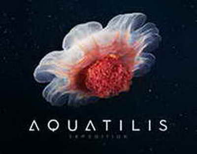 Жаз–2026: ШҚО-да 93 мыңнан астам бала жазғы демалыспен қамтылады