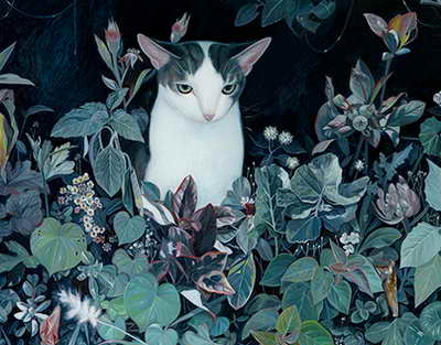 Azərbaycana dollar axını - İlginc səbəb